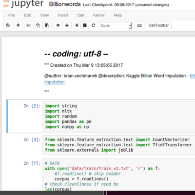 Natural Language Processing: Word Imputation